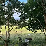 캠프장 Valley View In The Woods On A Farm *