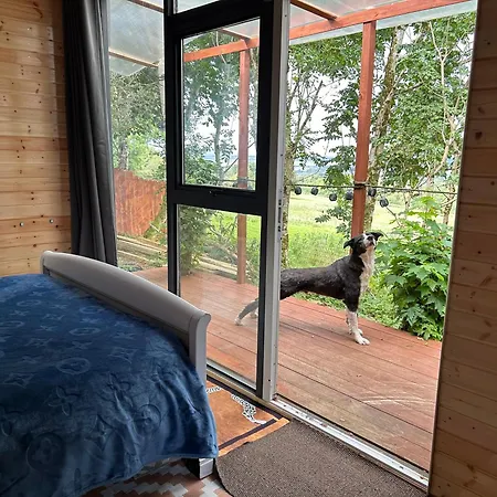 Valley View In The Woods On A Farm Feevaghmore