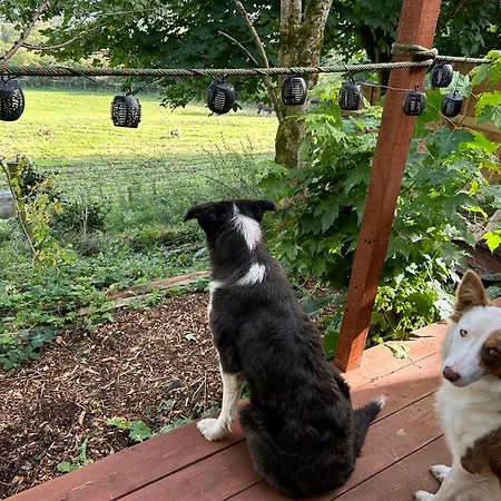 Valley View In The Woods On A Farm *