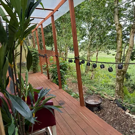 Valley View In The Woods On A Farm *