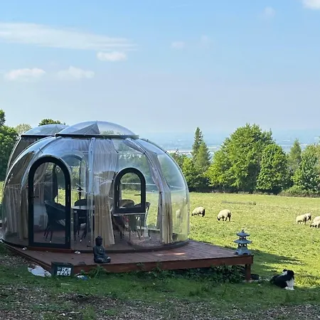 캠프장 Valley View In The Woods On A Farm