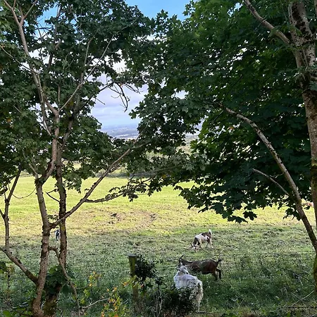캠프장 Valley View In The Woods On A Farm *