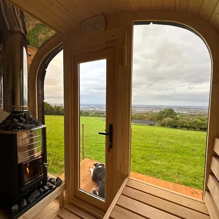 Valley View In The Woods On A Farm Feevaghmore