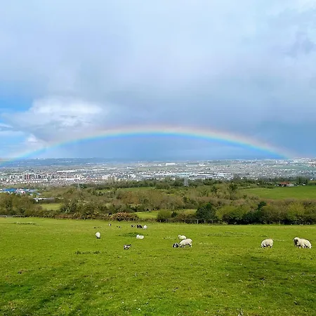 Valley View In The Woods On A Farm Camping