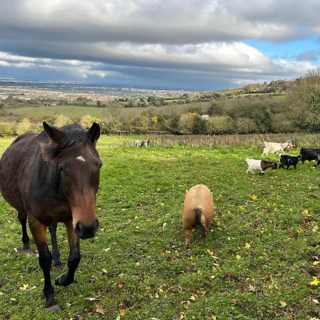 Кемпинг Valley View In The Woods On A Farm