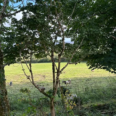 Valley View In The Woods On A Farm Camping