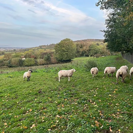 Valley View In The Woods On A Farm *