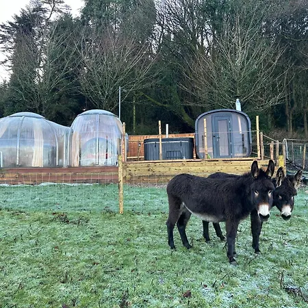 Camping Valley View In The Woods On A Farm Feevaghmore