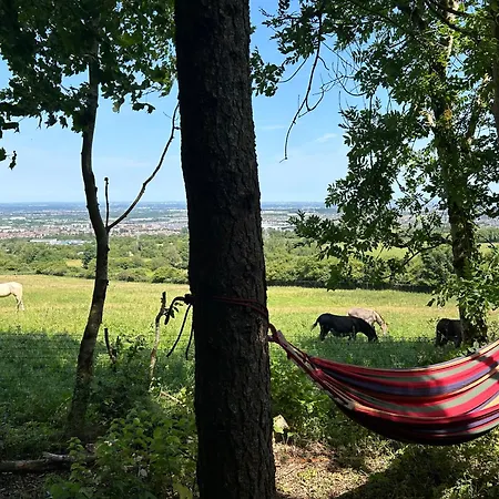 Valley View In The Woods On A Farm 캠프장