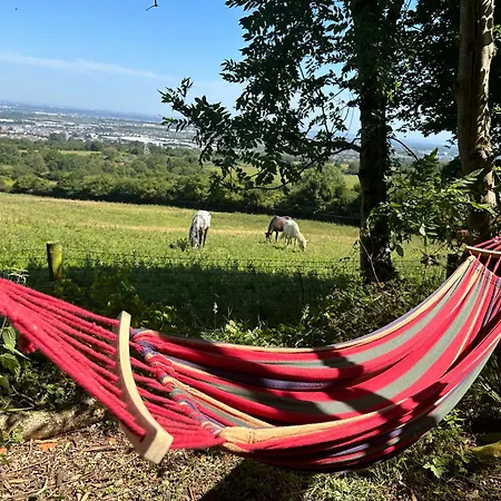 Campsite Valley View In The Woods On A Farm Dublin