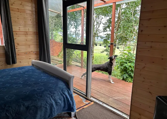 Valley View In The Woods On A Farm Feevaghmore