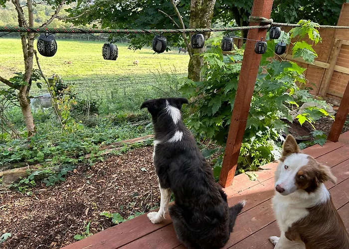 Valley View In The Woods On A Farm *