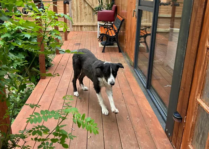 Valley View In The Woods On A Farm *