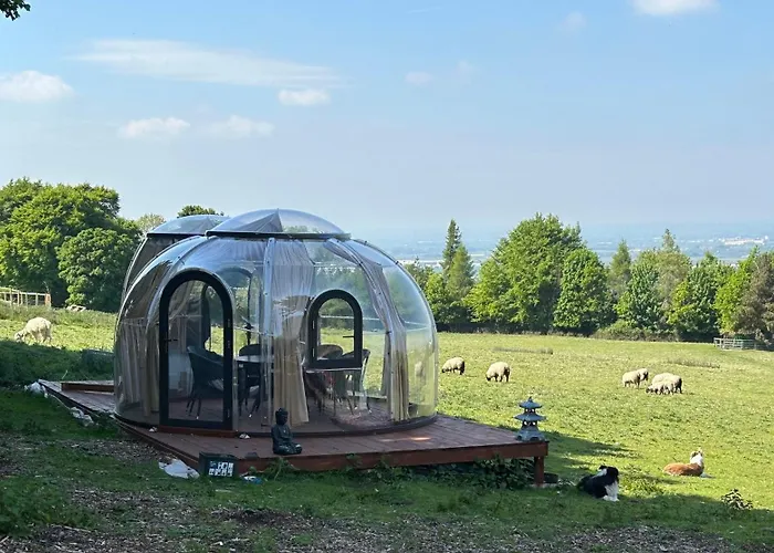 Camping Valley View In The Woods On A Farm
