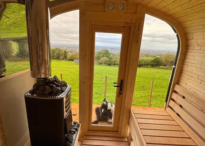 Valley View In The Woods On A Farm * Feevaghmore