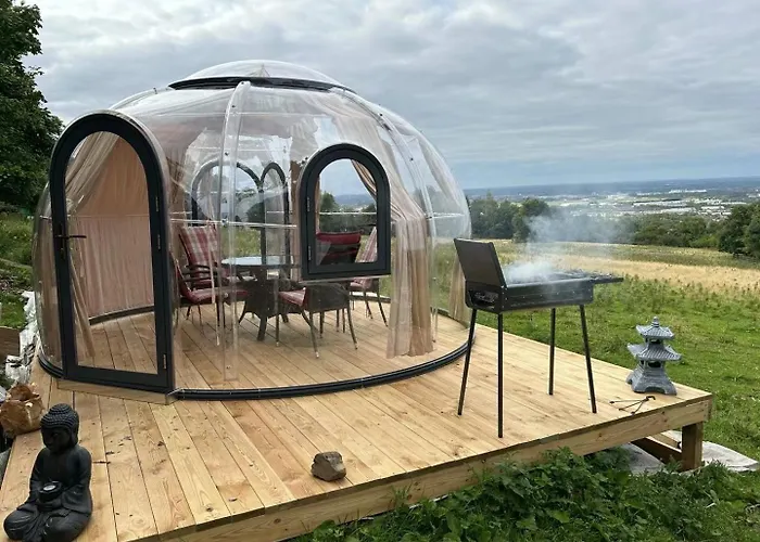 Camping Valley View In The Woods On A Farm *