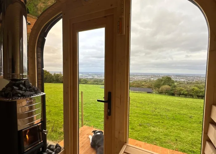 Valley View In The Woods On A Farm Feevaghmore