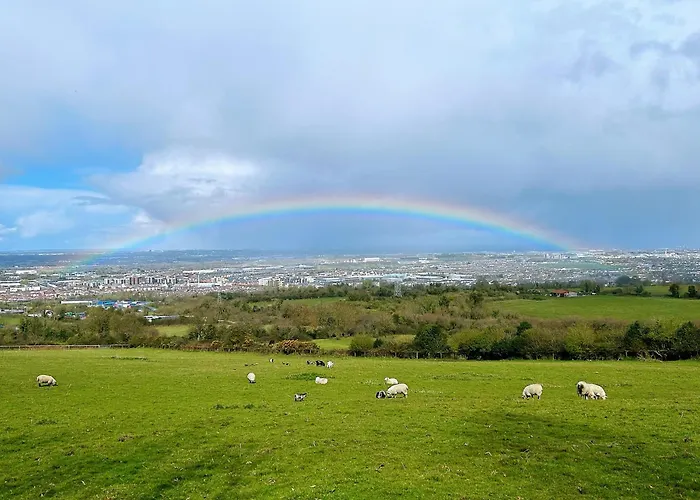 Valley View In The Woods On A Farm Camping