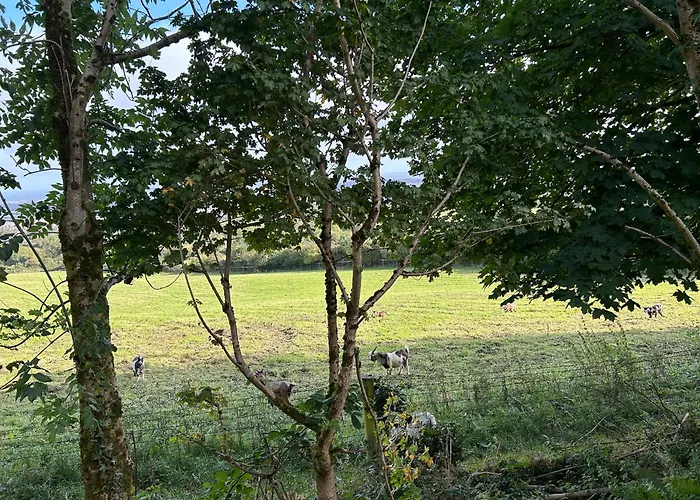 Valley View In The Woods On A Farm Camping