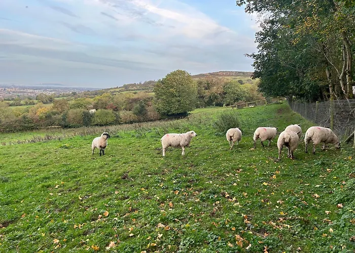 Valley View In The Woods On A Farm *